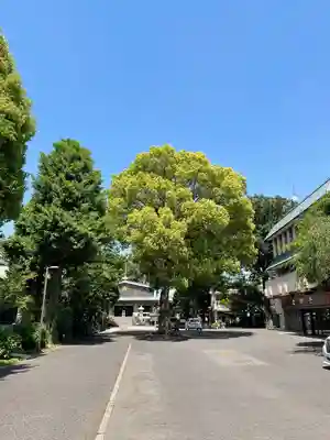 延命寺(東京都)