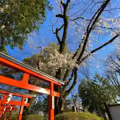 尾曳稲荷神社の建物その他