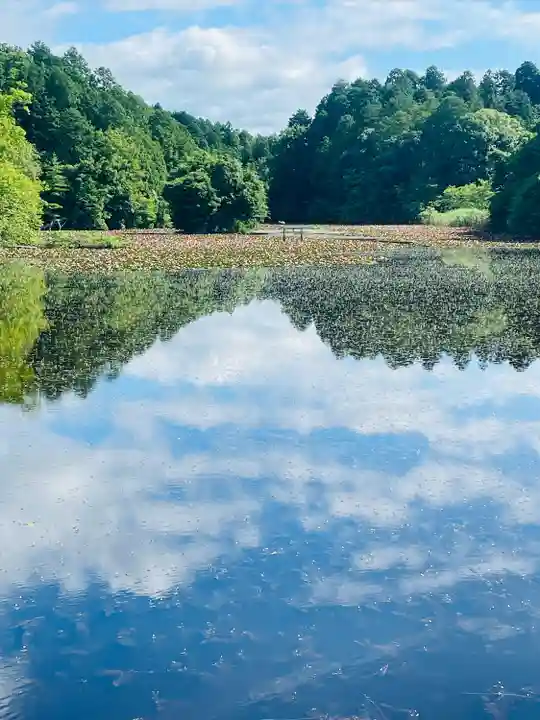 八幡神社(滋賀県)
