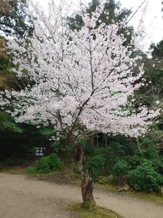 厳島神社(広島県)