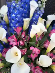 上尾御嶽神社の手水舎(2023年04月01日(土) 15時44分14秒投稿)