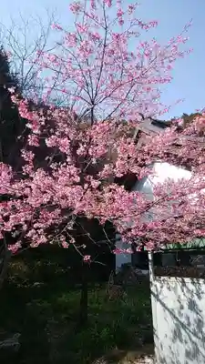 臥雲寺の自然