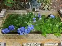 星宮神社(栃木県)