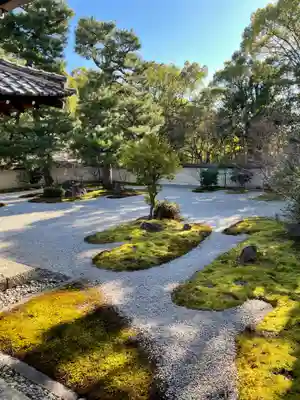 廬山寺(廬山天台講寺)(京都府)