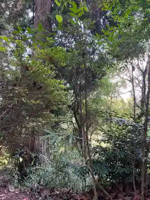 大宮温泉神社(栃木県)