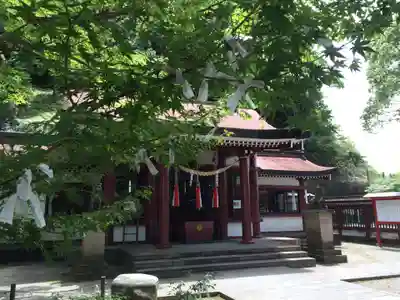 鹿児島神社(鹿児島県)