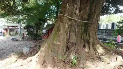音無神社の自然