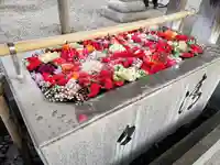 長浜八幡宮の手水舎