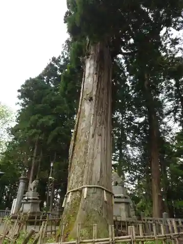 戸隠神社中社(長野県)