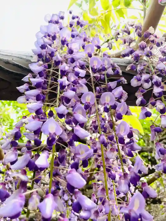 行興寺(静岡県)