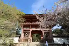 醍醐寺(京都府)