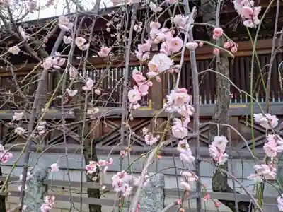 湯島天満宮(東京都)