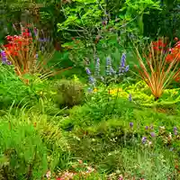 寿量山 速成寺の自然