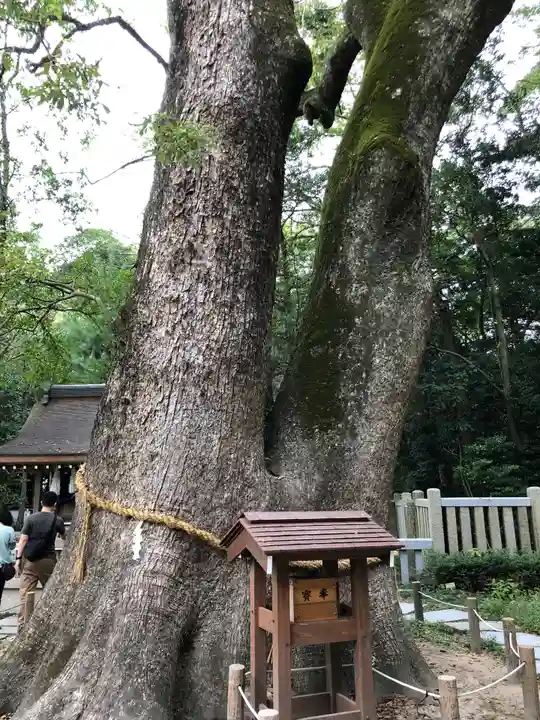 伊弉諾神宮の自然