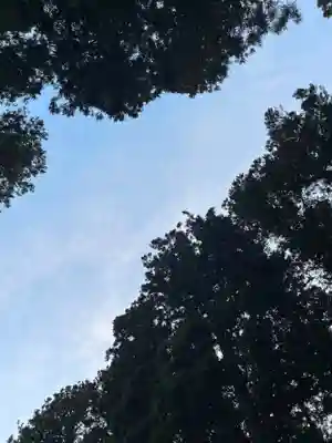 大宮温泉神社(栃木県)