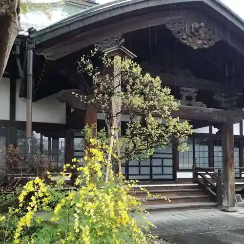 大泉寺の本殿・本堂