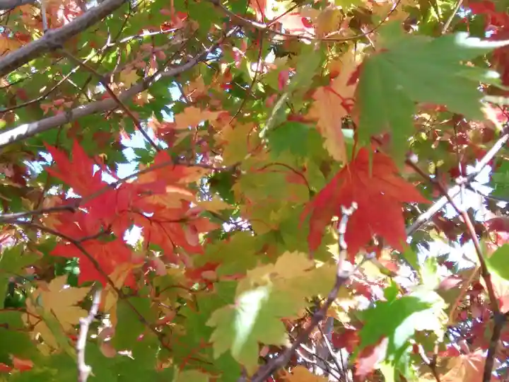 大雪山層雲峡神社(北海道)