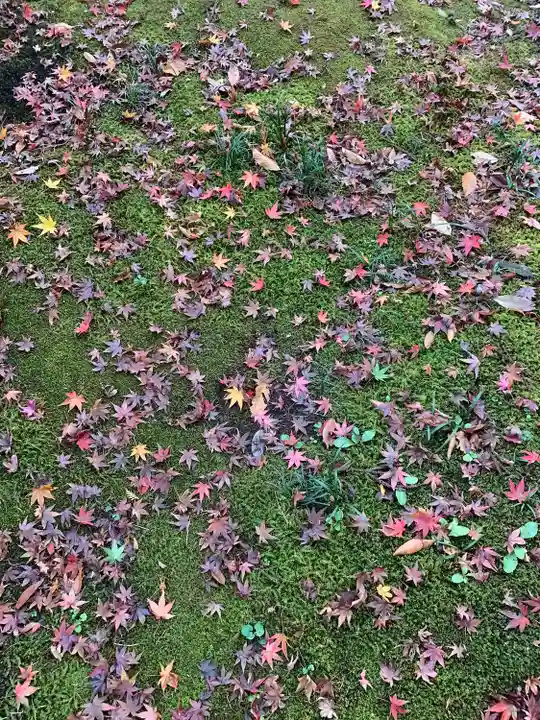 手子后神社(茨城県)