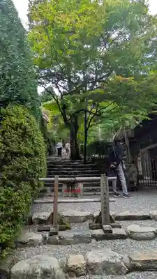 寂光院(京都府)