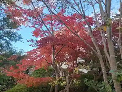 西方院(大阪府)