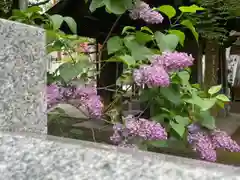 彌彦神社　(伊夜日子神社)(北海道)