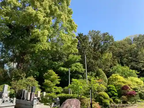 圓蔵寺のその他建物