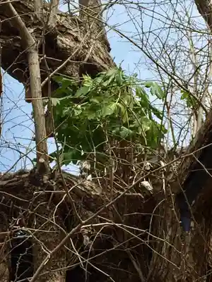 千葉寺のその他建物