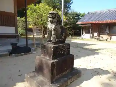 深江神社の狛犬