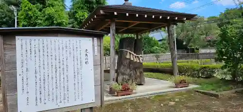 大巌寺の{uncategorized: "未分類", other: "その他", undefined: "問題あり", building: "その他建物", grave: "お墓", sacred_gate: "鳥居", guardian: "狛犬", statue: "像", buddha: "仏像", history: "歴史", nature: "自然", garden: "庭園", animal: "動物", pagoda: "塔", temizu: "手水舎", mountain_gate: "山門・神門", sanctuary: "本殿・本堂", subordinate: "末社・摂社", art: "芸術", scenery: "景色", jizo: "地蔵", ema: "絵馬", goshuin: "御朱印", omikuji: "おみくじ", items: "授与品その他", amulet: "お守り", goshuincho: "御朱印帳", eats: "食事", festival: "お祭り", votive_dance: "神楽", shichigosan: "七五三参", wedding: "結婚式", experience: "体験その他", initially: "初詣", around: "周辺", anti_infection: "感染症対策"}