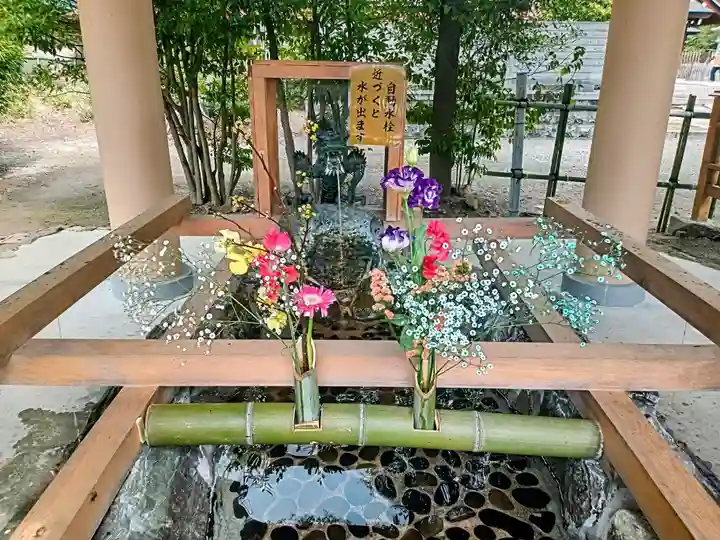 和泉國一之宮 大鳥大社(大阪府)