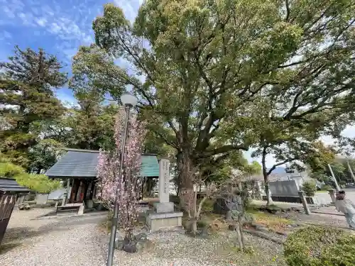 滋賀県護国神社の{uncategorized: "未分類", other: "その他", undefined: "問題あり", building: "その他建物", grave: "お墓", sacred_gate: "鳥居", guardian: "狛犬", statue: "像", buddha: "仏像", history: "歴史", nature: "自然", garden: "庭園", animal: "動物", pagoda: "塔", temizu: "手水舎", mountain_gate: "山門・神門", sanctuary: "本殿・本堂", subordinate: "末社・摂社", art: "芸術", scenery: "景色", jizo: "地蔵", ema: "絵馬", goshuin: "御朱印", omikuji: "おみくじ", items: "授与品その他", amulet: "お守り", goshuincho: "御朱印帳", eats: "食事", festival: "お祭り", votive_dance: "神楽", shichigosan: "七五三参", wedding: "結婚式", experience: "体験その他", initially: "初詣", around: "周辺", anti_infection: "感染症対策"}