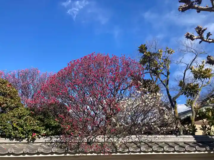 薬師院(神奈川県)
