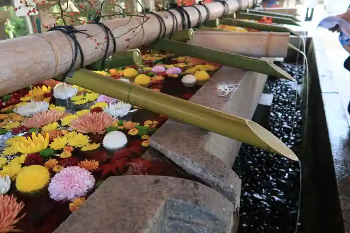 石清水八幡宮の手水舎