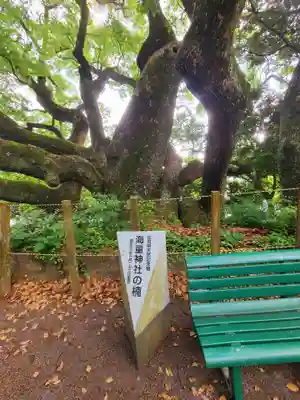 海童神社(佐賀県)
