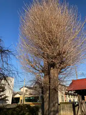 貞性寺(神奈川県)