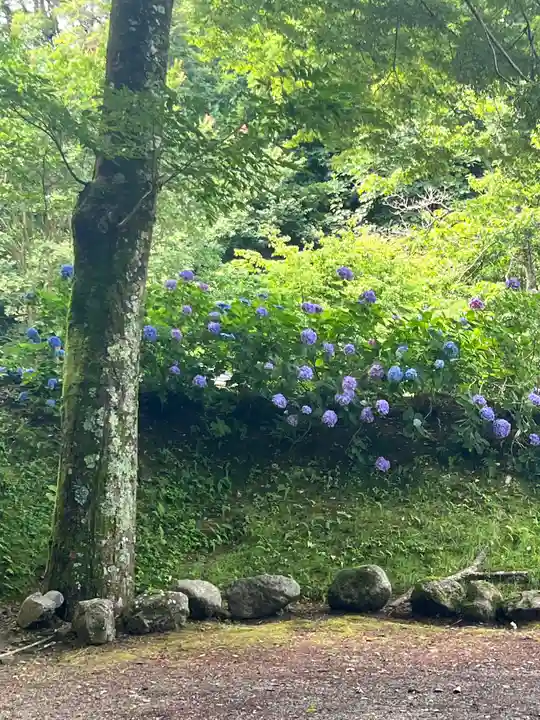 普門寺(岩手県)