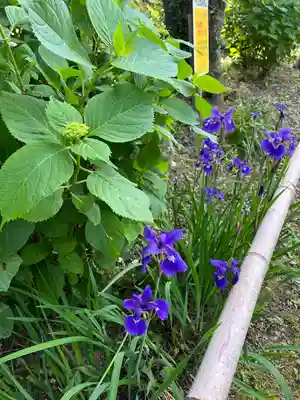 石清水八幡宮(京都府)