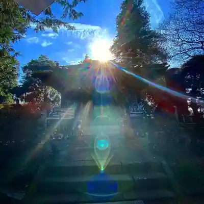 茂林寺(群馬県)