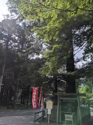 椿大神社(三重県)