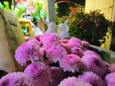 東海市熊野神社の手水舎