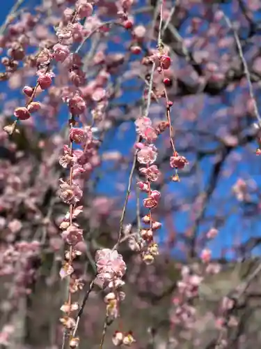 長谷寺(神奈川県)