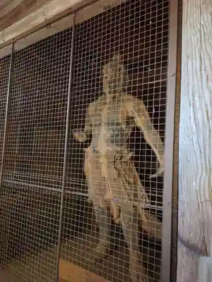 東大寺別院阿弥陀寺(山口県)