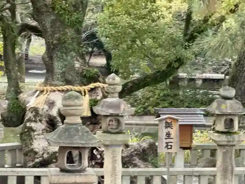 住吉大社の{uncategorized: "未分類", other: "その他", undefined: "問題あり", building: "その他建物", grave: "お墓", sacred_gate: "鳥居", guardian: "狛犬", statue: "像", buddha: "仏像", history: "歴史", nature: "自然", garden: "庭園", animal: "動物", pagoda: "塔", temizu: "手水舎", mountain_gate: "山門・神門", sanctuary: "本殿・本堂", subordinate: "末社・摂社", art: "芸術", scenery: "景色", jizo: "地蔵", ema: "絵馬", goshuin: "御朱印", omikuji: "おみくじ", items: "授与品その他", amulet: "お守り", goshuincho: "御朱印帳", eats: "食事", festival: "お祭り", votive_dance: "神楽", shichigosan: "七五三参", wedding: "結婚式", experience: "体験その他", initially: "初詣", around: "周辺", anti_infection: "感染症対策"}