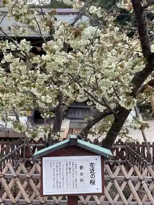 上地八幡宮(愛知県)