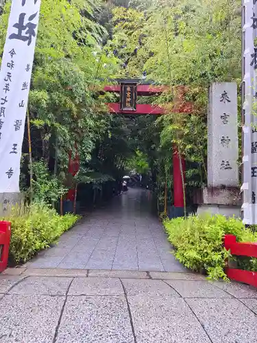 來宮神社(静岡県)