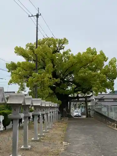 八幡神社の建物その他