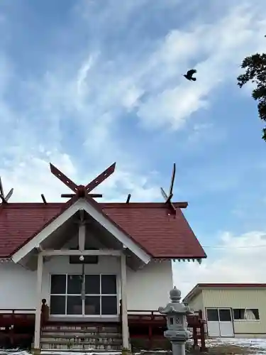 東野恵比須神社の{uncategorized: "未分類", other: "その他", undefined: "問題あり", building: "その他建物", grave: "お墓", sacred_gate: "鳥居", guardian: "狛犬", statue: "像", buddha: "仏像", history: "歴史", nature: "自然", garden: "庭園", animal: "動物", pagoda: "塔", temizu: "手水舎", mountain_gate: "山門・神門", sanctuary: "本殿・本堂", subordinate: "末社・摂社", art: "芸術", scenery: "景色", jizo: "地蔵", ema: "絵馬", goshuin: "御朱印", omikuji: "おみくじ", items: "授与品その他", amulet: "お守り", goshuincho: "御朱印帳", eats: "食事", festival: "お祭り", votive_dance: "神楽", shichigosan: "七五三参", wedding: "結婚式", experience: "体験その他", initially: "初詣", around: "周辺", anti_infection: "感染症対策"}