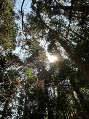 猿田彦三河神社(愛知県)
