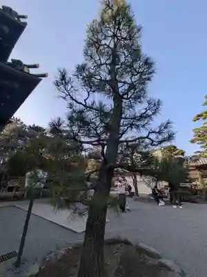 豪徳寺(東京都)