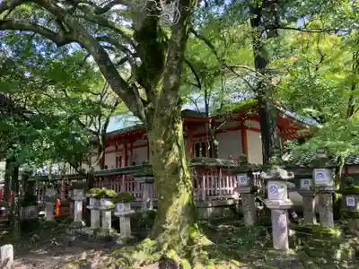 手向山八幡宮(奈良県)